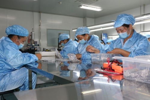 建設50億級產業集群 郟縣傾力打造中部地區知名醫用耗材產銷地